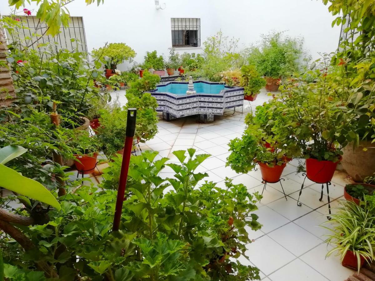 Ferienwohnung Patios De San Rafael Córdoba Exterior foto